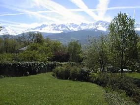 PIC00008
