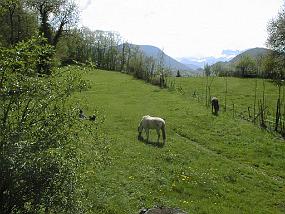 PIC00021
