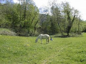 PIC00024