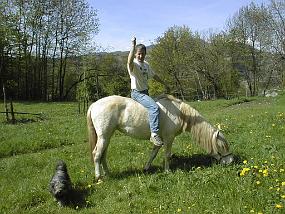 PIC00027