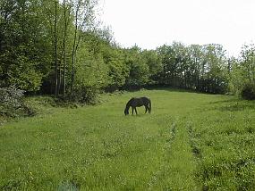 pic00004