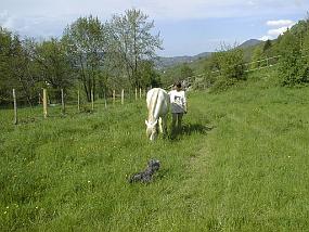 pic00005