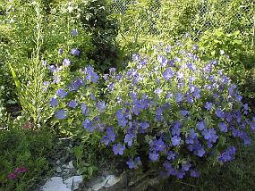 pic00009
