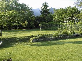 pic00015