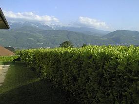 pic00017