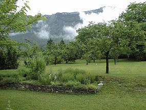 pic00005