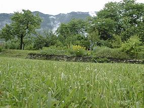 pic00006