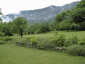 pic00008