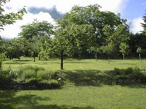 pic00013