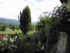 pic00021