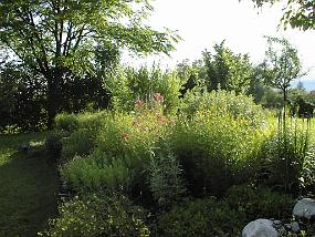 pic00005