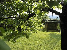 pic00032