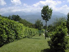 pic00013