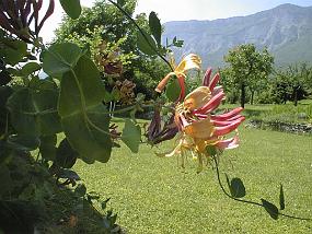 pic00014