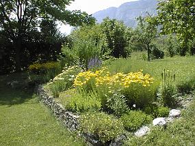 pic00018