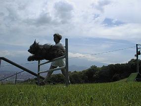 pic00001