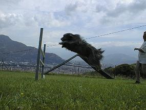 pic00002