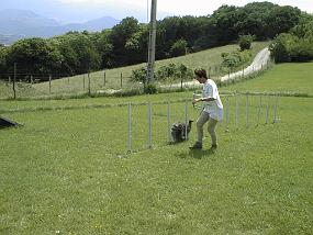 pic00004