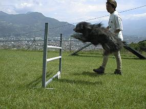 pic00005