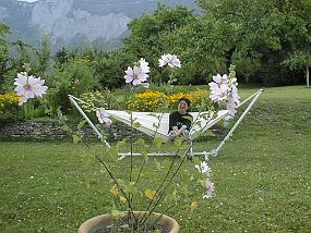 pic00010