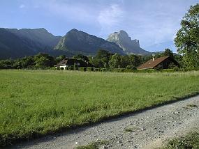 pic00005