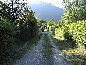 pic00009