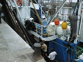 pic00016