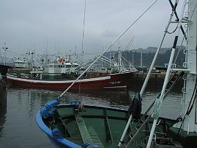 pic00017