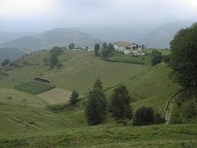 pic00021