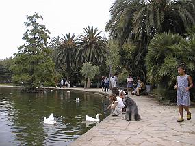 pic00023