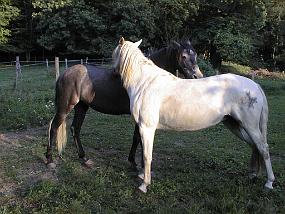 pic00016