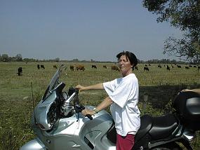 pic00010