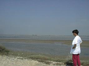 pic00013