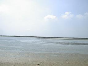 pic00015