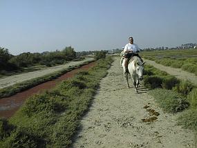pic00020
