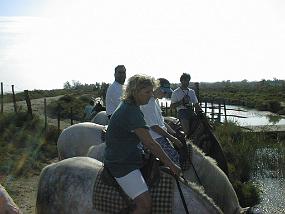 pic00024