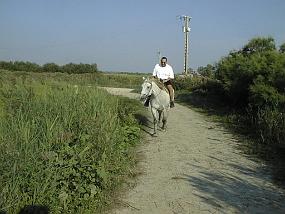 pic00028