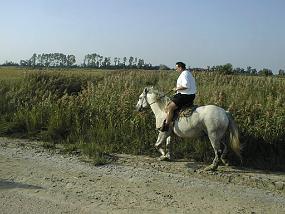 pic00029