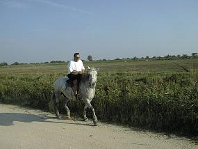 pic00031