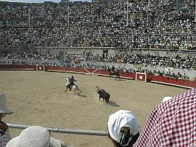 pic00005