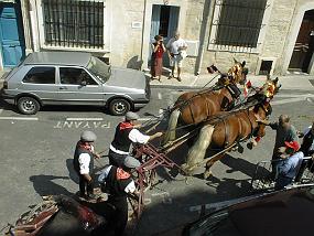 pic00010