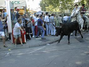 pic00015