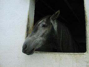 pic00013