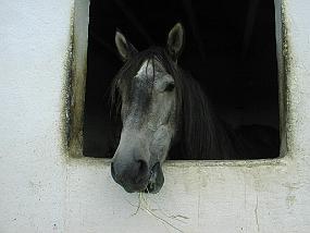 pic00015