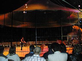 pic00004