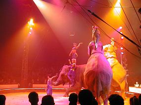 pic00008