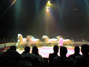 pic00010