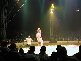 pic00013