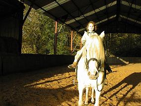 pic00023