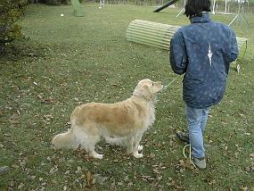 pic00005